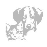 Tierschutzverein Rheine und Umgebung e.V.