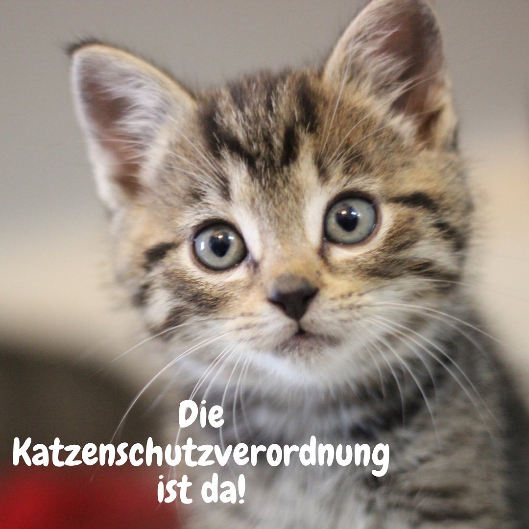 img katzenschutzverordnung