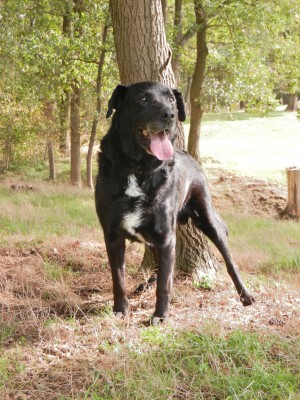 Arko Bild 5 beim Sparziergang