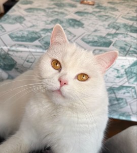 Externe Tiere processed-1A335AB2-B26C-4B61-8096-F58019AD5E4C