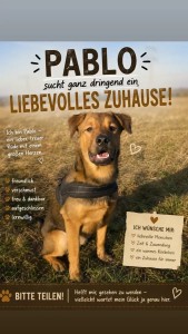 Externe Tiere Paplo_neu