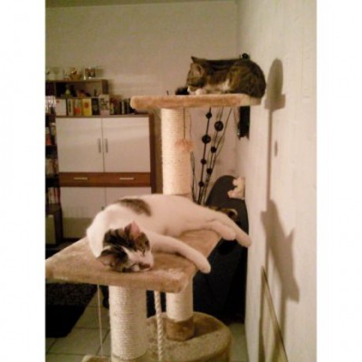 Geronimo und Tinka 